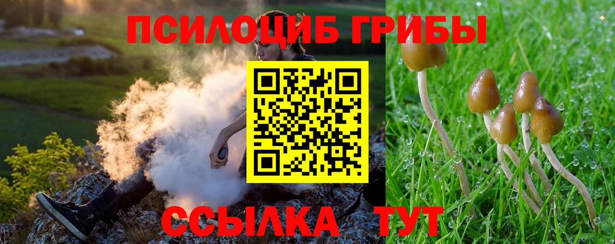 Стрежевой  Псилоцибиновые грибы GOLDEN TEACHER  Вход с VPN 